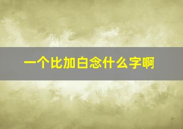 一个比加白念什么字啊