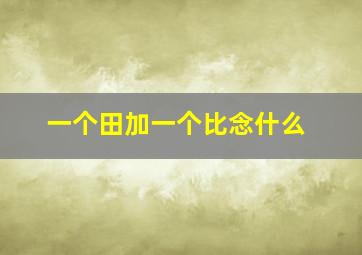 一个田加一个比念什么