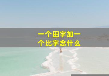 一个田字加一个比字念什么