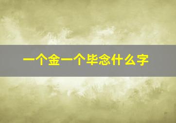 一个金一个毕念什么字