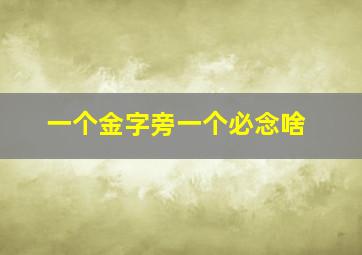 一个金字旁一个必念啥