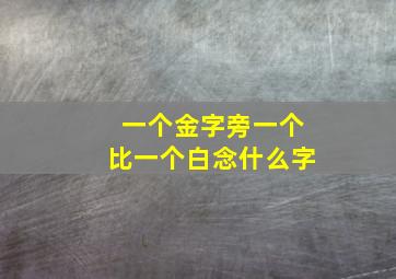 一个金字旁一个比一个白念什么字