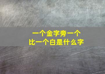 一个金字旁一个比一个白是什么字