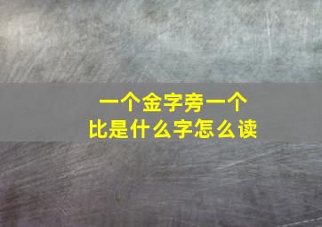 一个金字旁一个比是什么字怎么读