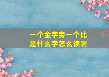 一个金字旁一个比是什么字怎么读啊