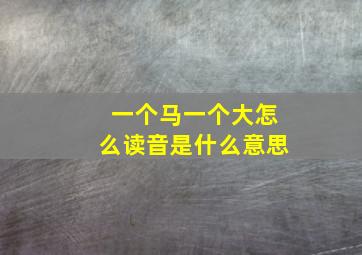 一个马一个大怎么读音是什么意思