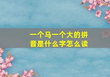 一个马一个大的拼音是什么字怎么读