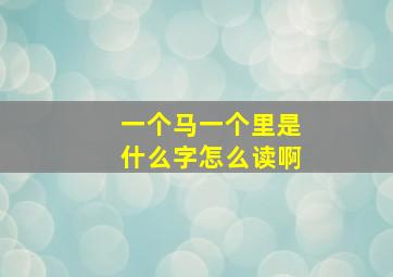 一个马一个里是什么字怎么读啊