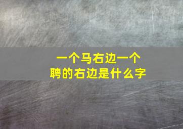 一个马右边一个聘的右边是什么字