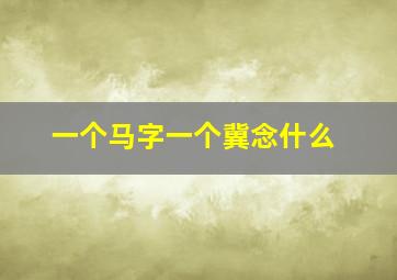 一个马字一个冀念什么