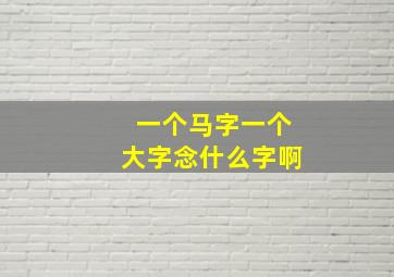 一个马字一个大字念什么字啊