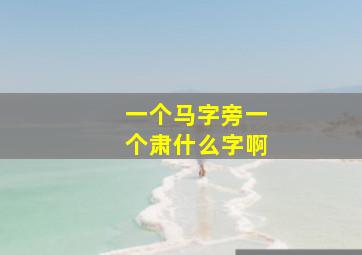 一个马字旁一个肃什么字啊