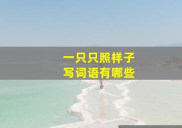 一只只照样子写词语有哪些