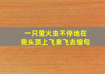 一只萤火虫不停地在我头顶上飞来飞去缩句