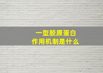 一型胶原蛋白作用机制是什么