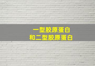 一型胶原蛋白和二型胶原蛋白