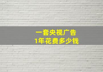 一套央视广告1年花费多少钱