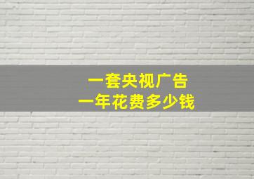 一套央视广告一年花费多少钱