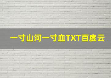 一寸山河一寸血TXT百度云