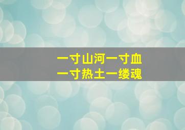 一寸山河一寸血一寸热土一缕魂