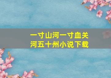 一寸山河一寸血关河五十州小说下载