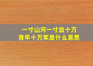 一寸山河一寸血十万青年十万军是什么意思