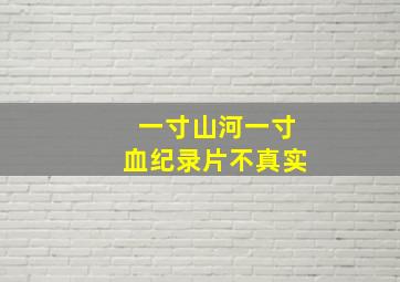 一寸山河一寸血纪录片不真实