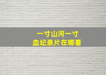 一寸山河一寸血纪录片在哪看