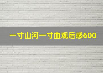 一寸山河一寸血观后感600