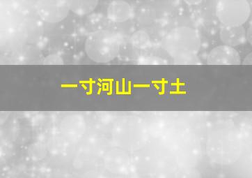 一寸河山一寸土