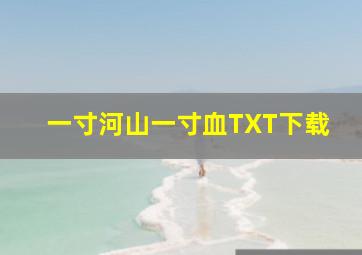 一寸河山一寸血TXT下载