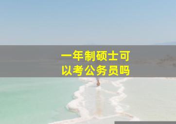 一年制硕士可以考公务员吗