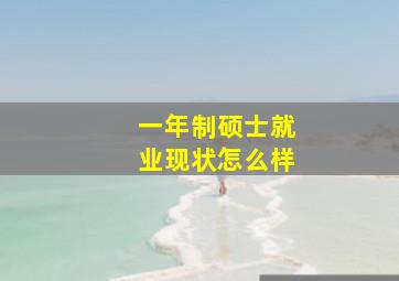 一年制硕士就业现状怎么样