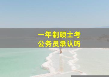 一年制硕士考公务员承认吗