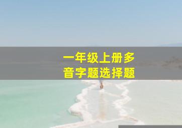 一年级上册多音字题选择题