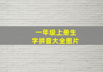 一年级上册生字拼音大全图片