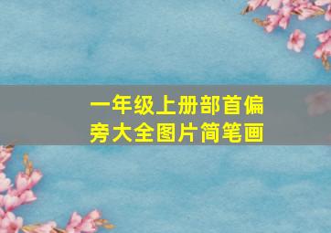 一年级上册部首偏旁大全图片简笔画