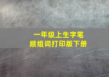 一年级上生字笔顺组词打印版下册