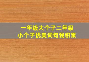 一年级大个子二年级小个子优美词句我积累