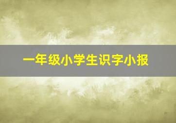 一年级小学生识字小报