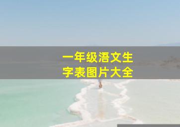 一年级浯文生字表图片大全