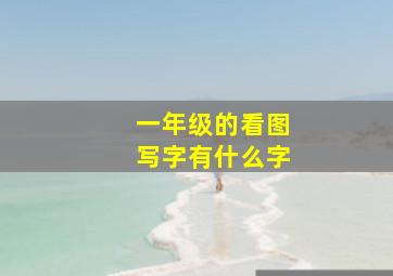 一年级的看图写字有什么字