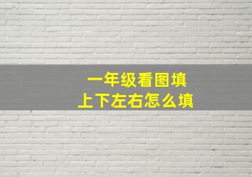 一年级看图填上下左右怎么填