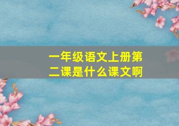 一年级语文上册第二课是什么课文啊