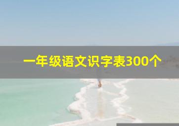 一年级语文识字表300个