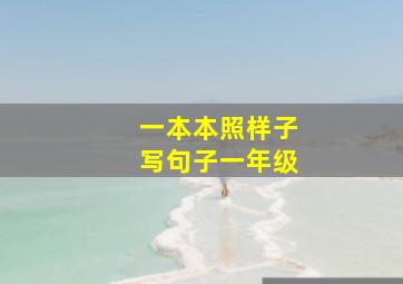 一本本照样子写句子一年级