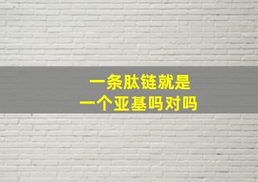 一条肽链就是一个亚基吗对吗