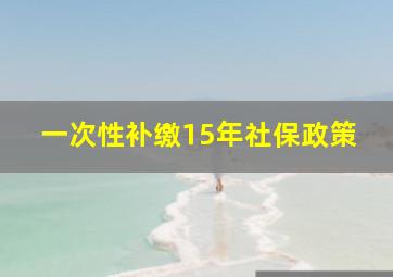 一次性补缴15年社保政策