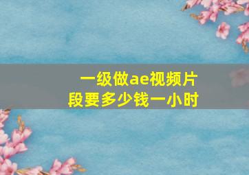 一级做ae视频片段要多少钱一小时