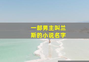 一部男主叫兰斯的小说名字